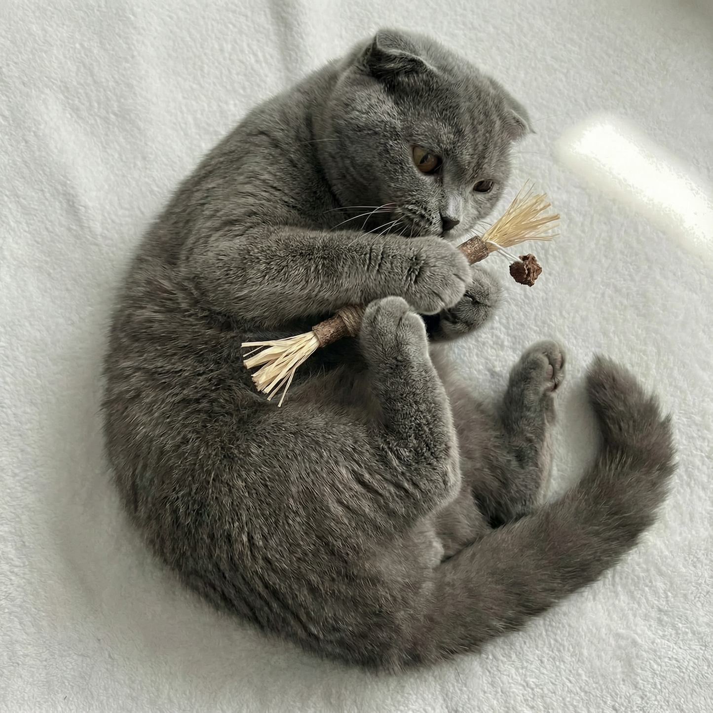 VineSticks – Natural Silvervine Dental Sticks