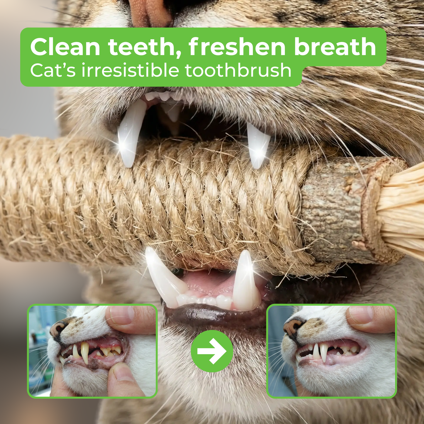 VineSticks – Natural Silvervine Dental Sticks