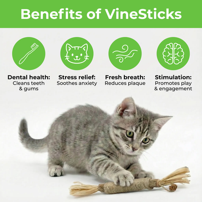 VineSticks – Natural Silvervine Dental Sticks