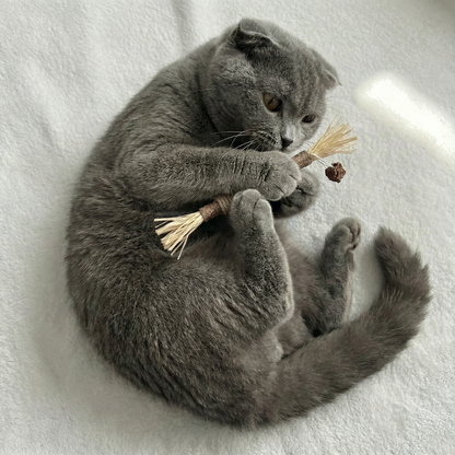 VineSticks – Natural Silvervine Dental Sticks