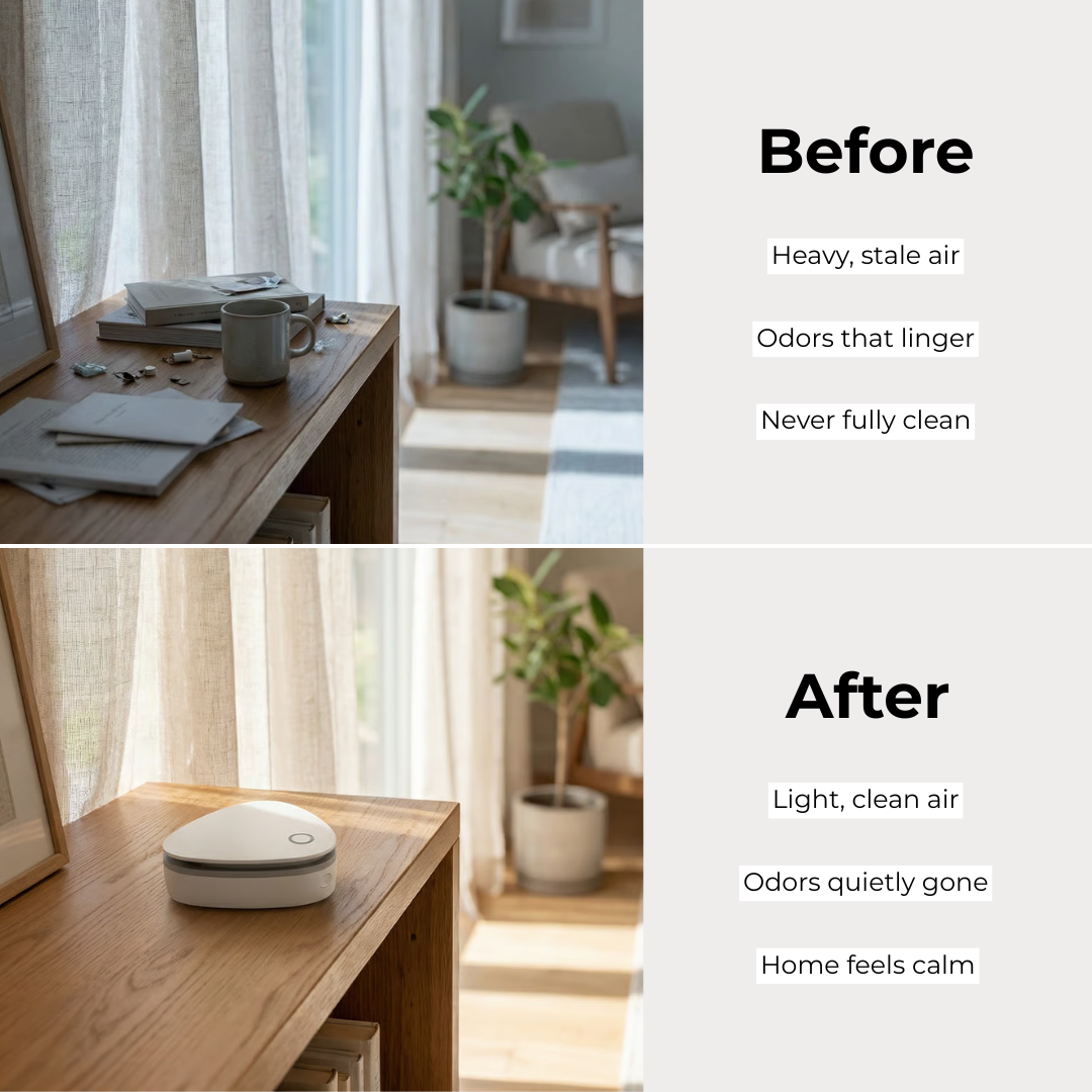 NEURA - Ozone Air Purifier