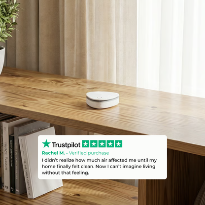 NEURA - Ozone Air Purifier