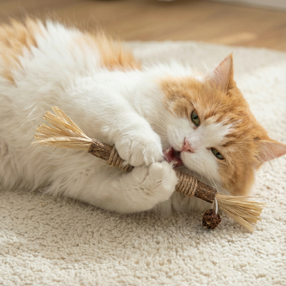 VineSticks – Natural Silvervine Dental Sticks